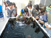 ファイル 39-4.jpg